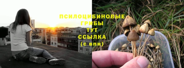 кокс Арсеньев