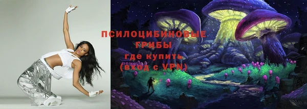 индика Аркадак