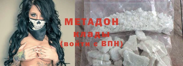 индика Аркадак