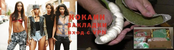 кокс Арсеньев