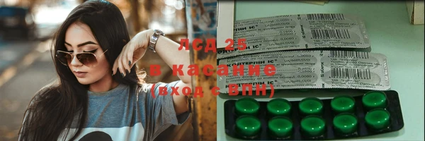индика Аркадак