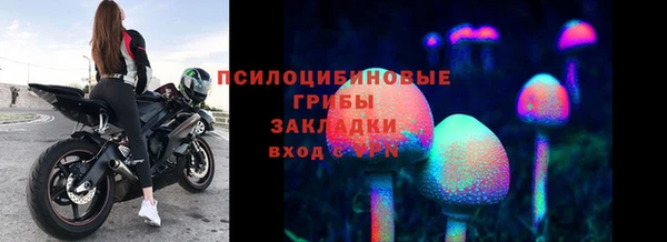 индика Аркадак