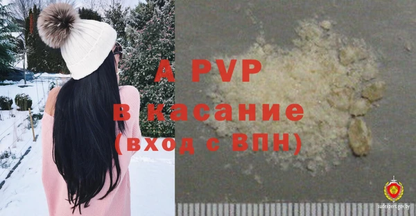 индика Аркадак