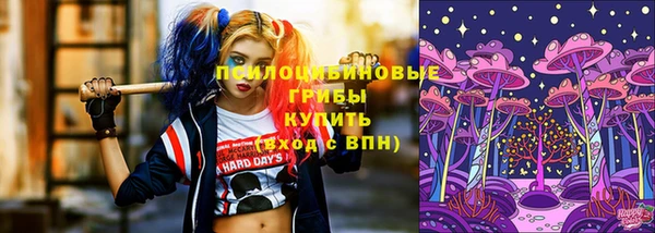 индика Аркадак