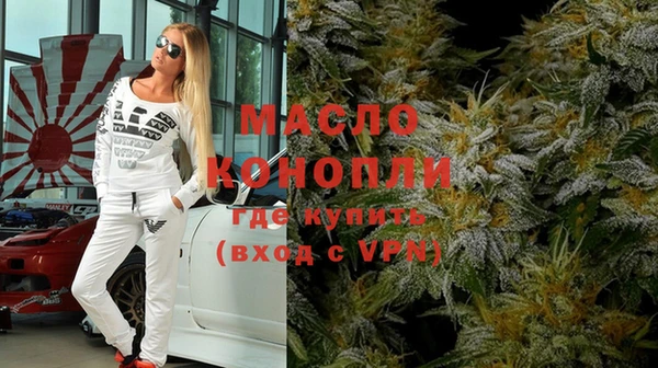 индика Аркадак