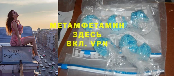 индика Аркадак