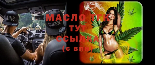 индика Аркадак