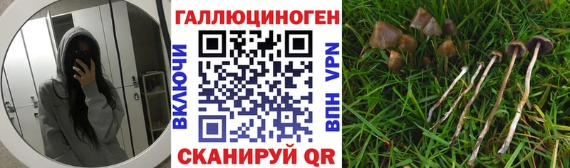 Псилоцибиновые грибы прущие грибы  цена   Зея 